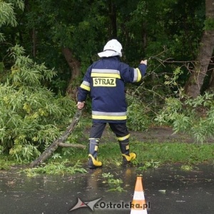 Połamane drzewa, zatarasowane drogi. Strażackie interwencje po nocnej nawałnicy