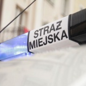 Zdecydują radni, nie mieszkańcy. Czy Straż Miejska powinna zostać zlikwidowana? 