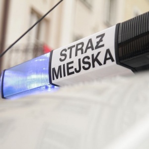 Rozjechał dwa psy w centrum Ostrołęki i odjechał