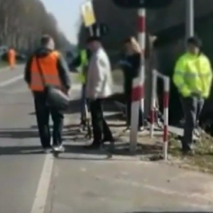 Wypadek ciężarówki w Komornikach. Świnie rozbiegły się po polu (wideo)