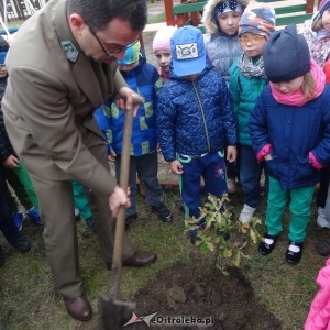 Święto Drzewa w Przedszkolu Miejskim nr 17 Kraina Misiów [ZDJĘCIA]