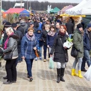 Wiosenne Targi Ogrodnicze i Targi Pszczelarskie [PROGRAM] 