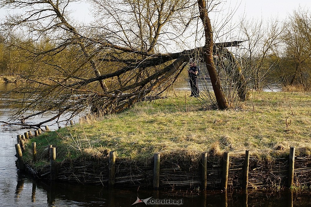 fot. eOstroleka.pl