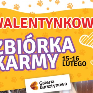 WALENTYNKOWA ZBIÓRKA KARMY DLA PSÓW I KOTÓW