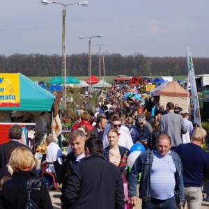 Tłumy na Wiosennych Targach Ogrodniczych w Szepietowie [ZDJĘCIA]