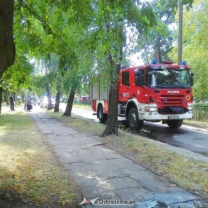 Ostrołęka: Rozpalili ognisko w centrum miasta i uciekli