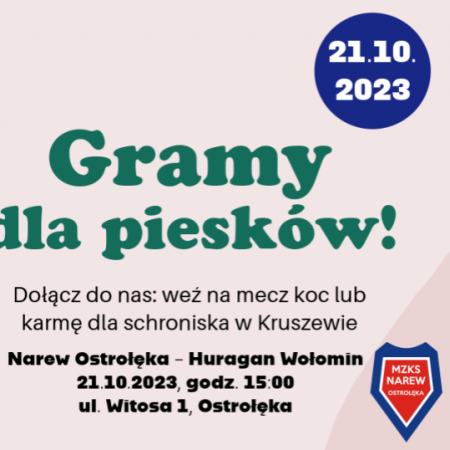 Chcesz pomóc zwierzakom ze schroniska? Przyjdź na mecz!