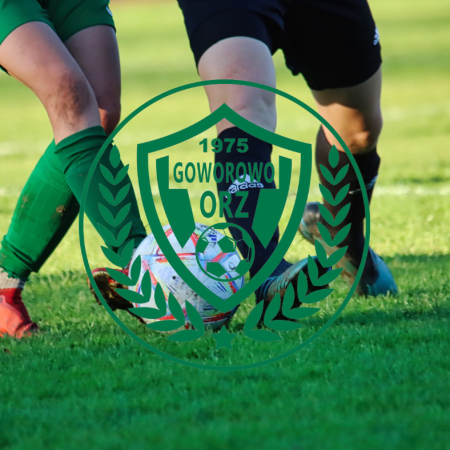 Pokaz siły Orza Goworowo. KS Wąsewo był bez szans