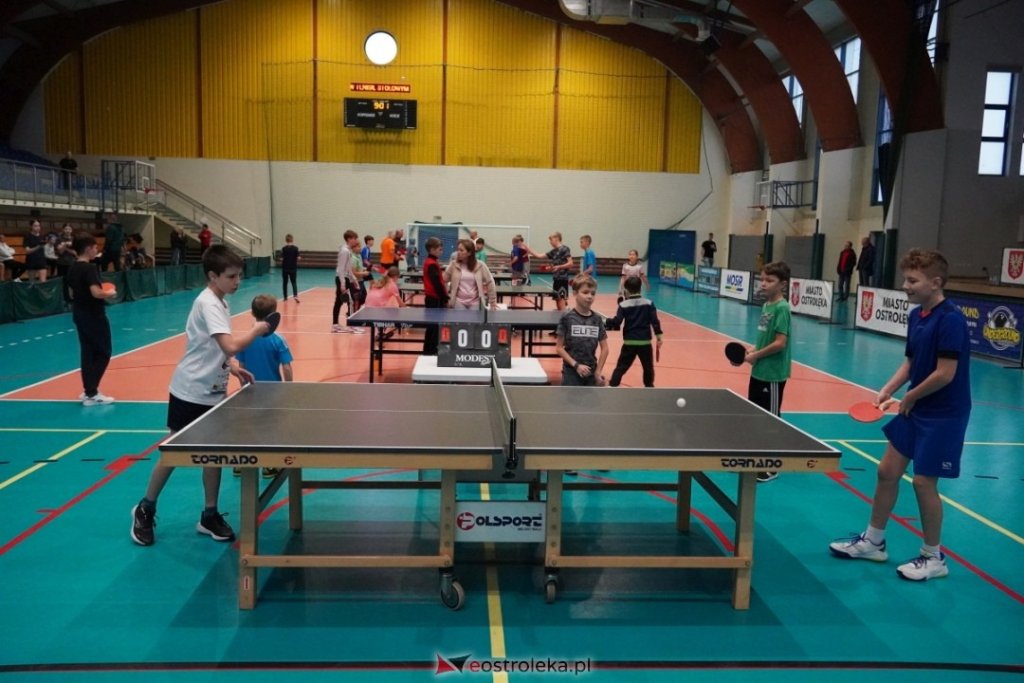 Przed nami VIII Memoriał Barbary Pawelczyk w tenisie stołowym. Hołd dla wybitnej sportsmenki