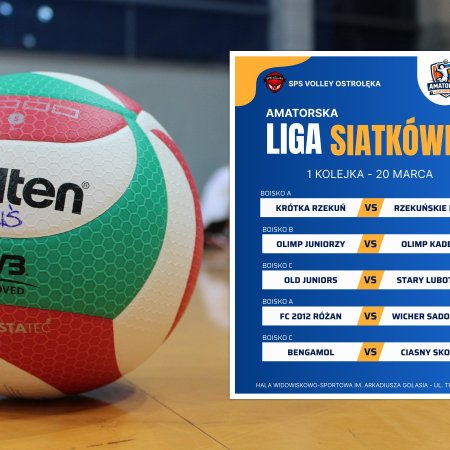 Rusza Amatorska Liga Siatkówki w Ostrołęce. Pierwsza kolejka już w piątek w hali Gołasia