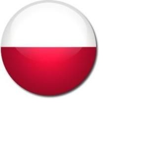 MŚ w siatkówce: Polska Algieria - transmisja tv i online (relacja na żywo) 