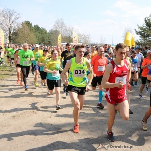 Cross Szalonego Kurpsia - trwają zapisy do biegu