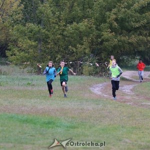 Sztafety z regionu na MIMS w biegach przełajowych (wyniki)