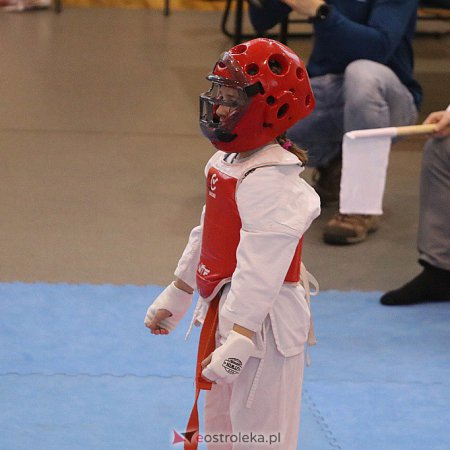 Letnia Akademia Karate. Zaprasza Ostrołęcki Klub Karate Kyokushin