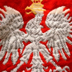 "Kupuje Polskie Produkty" - przedświąteczna akcja Młodzieży Wszechpolskiej [ZDJĘCIA]