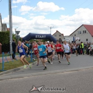 V Festiwal Biegowy "Zabiegaj o Borki" (zapisy)