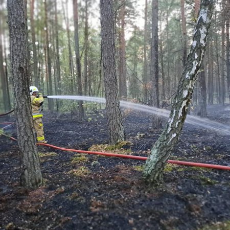 Pożar lasu w Kurpiach Szlacheckich [ZDJĘCIA]