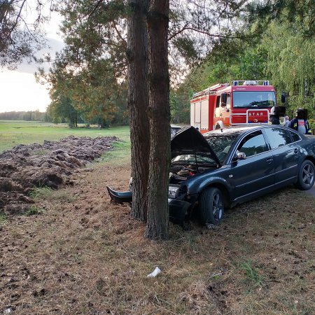 Wypadek w Cierpiętach. Osobówka uderzyła w drzewo [ZDJĘCIA]