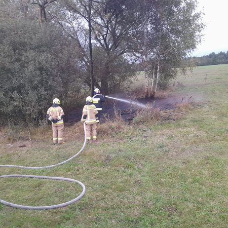 Pożar krzewów na pastwisku w miejscowości Wolkowe 