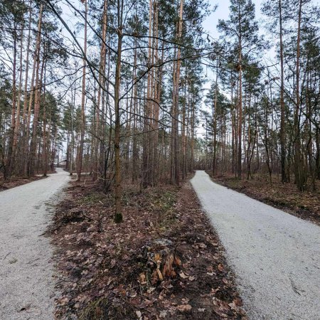 Noworoczny spacer? Tak wygląda park przy Warszawskiej [ZDJĘCIA]