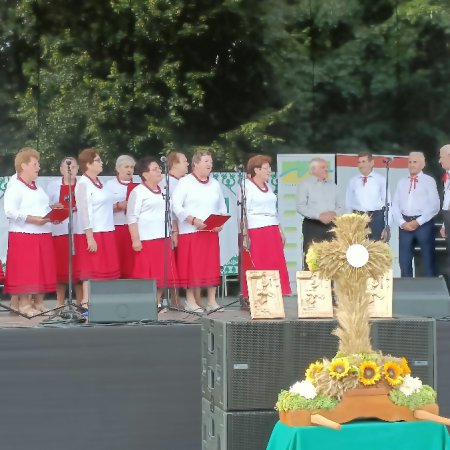 “Niedziela na wsi w Czarni”. Doroczne święto plonów i zabawa odpustowa [WIDEO, ZDJĘCIA]