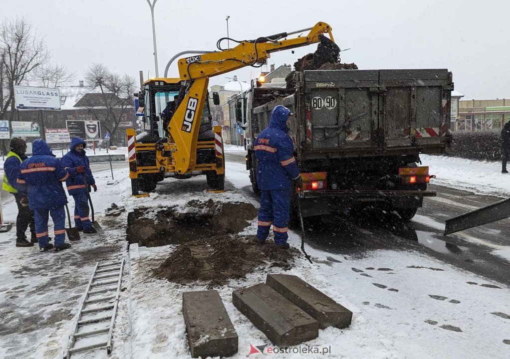 zdjęcie ilustracyjne