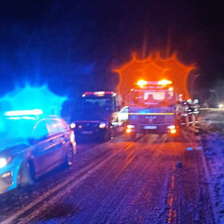 Wypadek w Lipnikach. Kierowca zderzył się z sarną