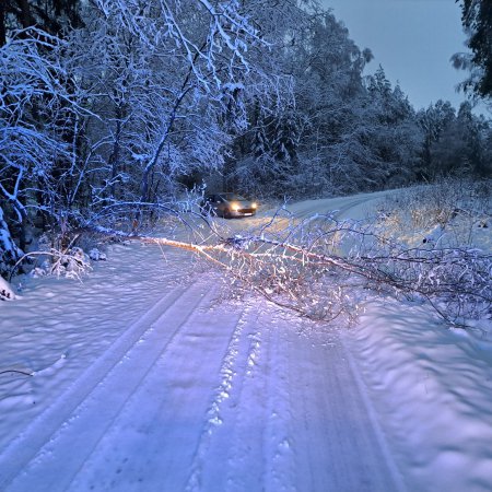 Straż pożarna walczy z skutkami zimy w Ostrołęce i powiecie [ZDJĘCIA]