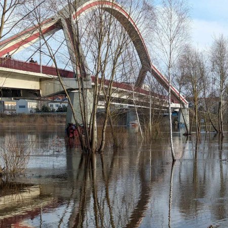 Narew w Ostrołęce w strefie stanów wysokich. Zwiększa się poziom wody w rzece [ZDJĘCIA]