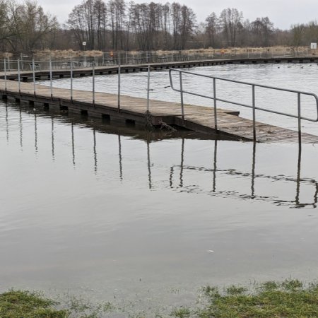 Ostrołęka: Narew gwałtownie przybiera [WIDEO, ZDJĘCIA]