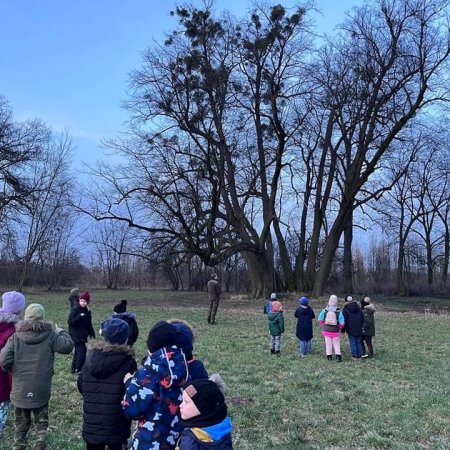 Nocne przygody z sowami: Edukacja i obserwacje