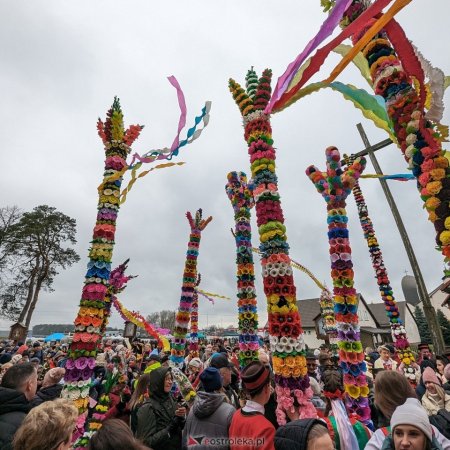 Znakomite wieści z resortu kultury. Kurpiowskie palmy docenione na najwyższym szczeblu