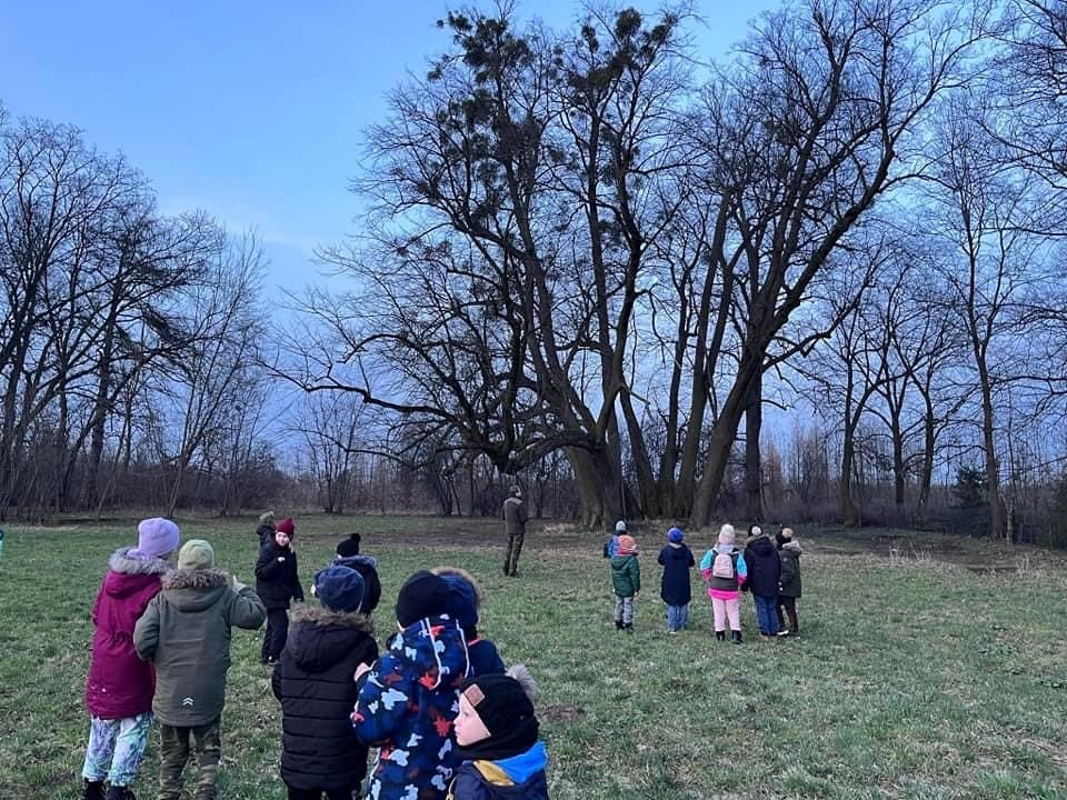 fot. Nadleśnictwo Ostrołęka