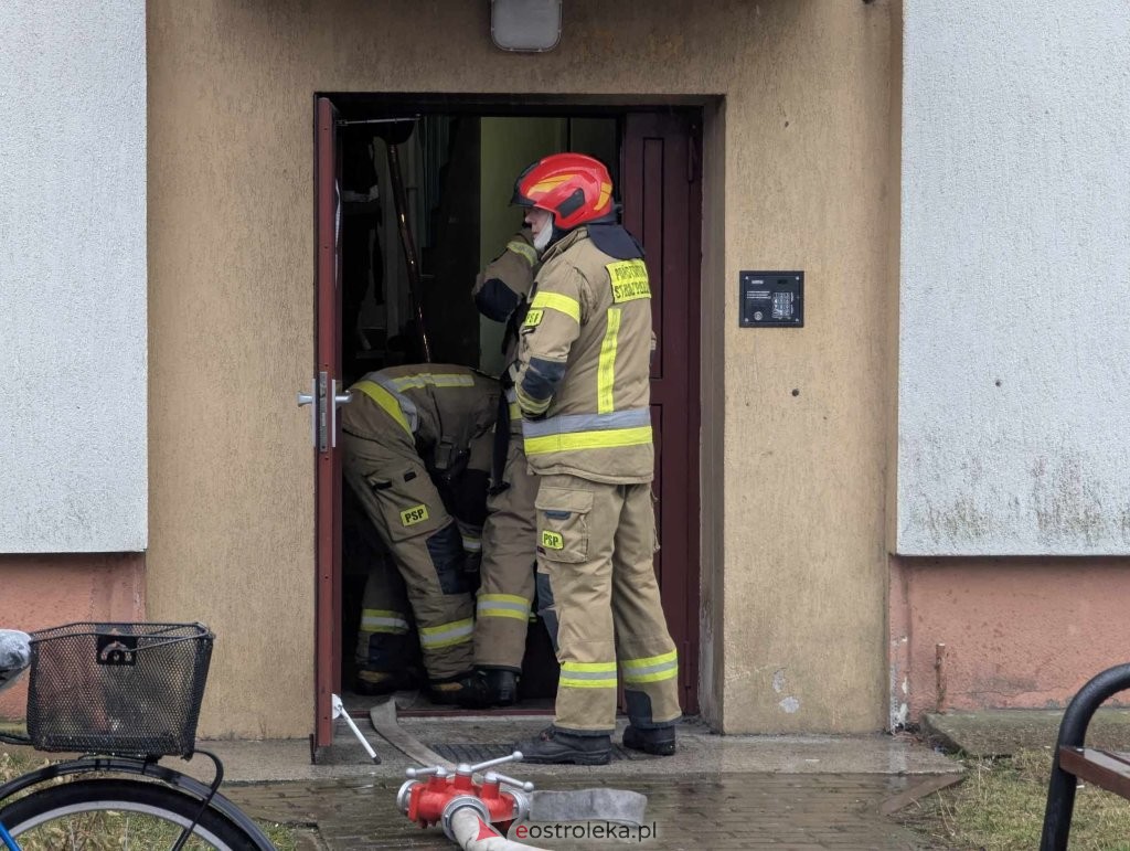fot. eOstroleka.pl