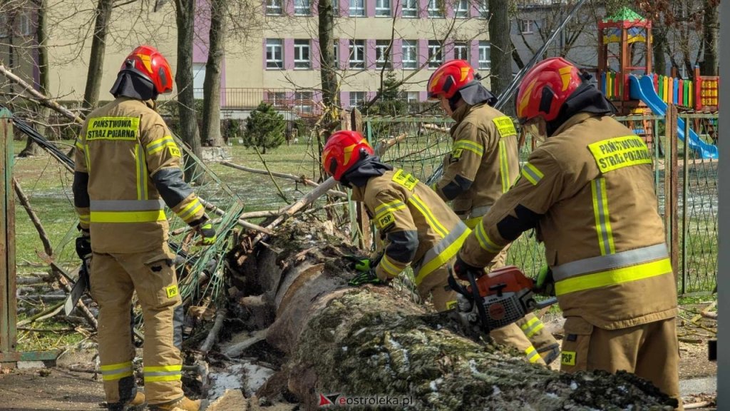 zdjęcie ilustracyjne, fot. eOstrołęka.pl