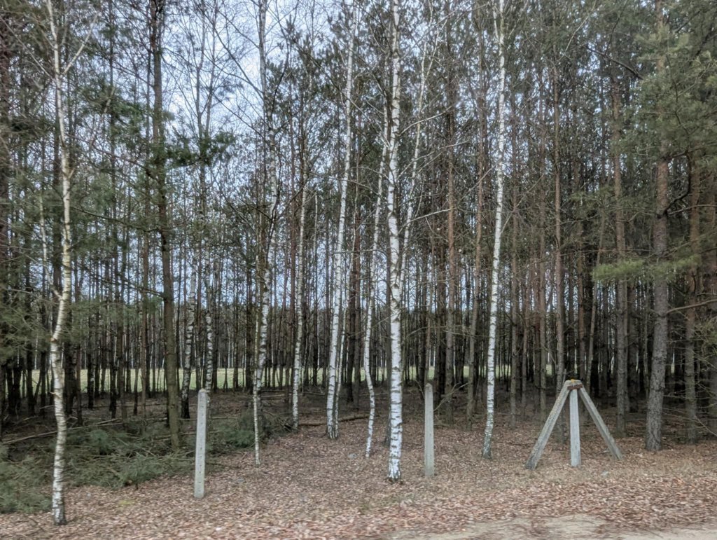 Wokół są lasy i pola