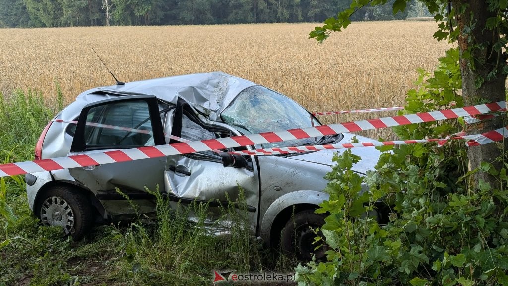 fot. eOstroleka.pl
