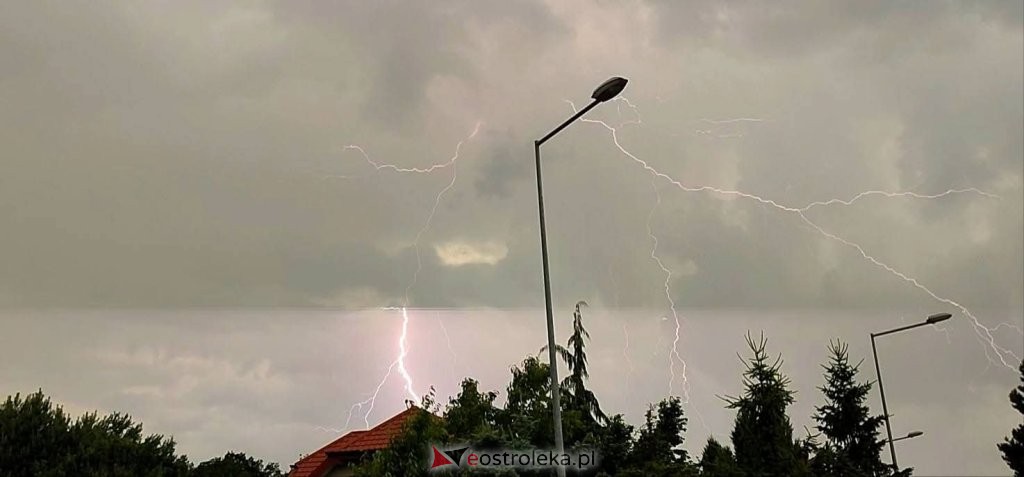 fot. Czytelnik