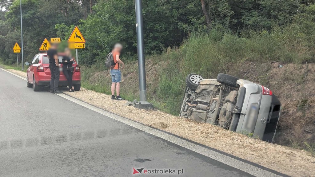 fot. internauta