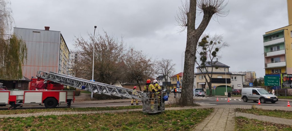 Zagrożenie było spore. Nie obyło się bez interwencji służb [ZDJĘCIA]