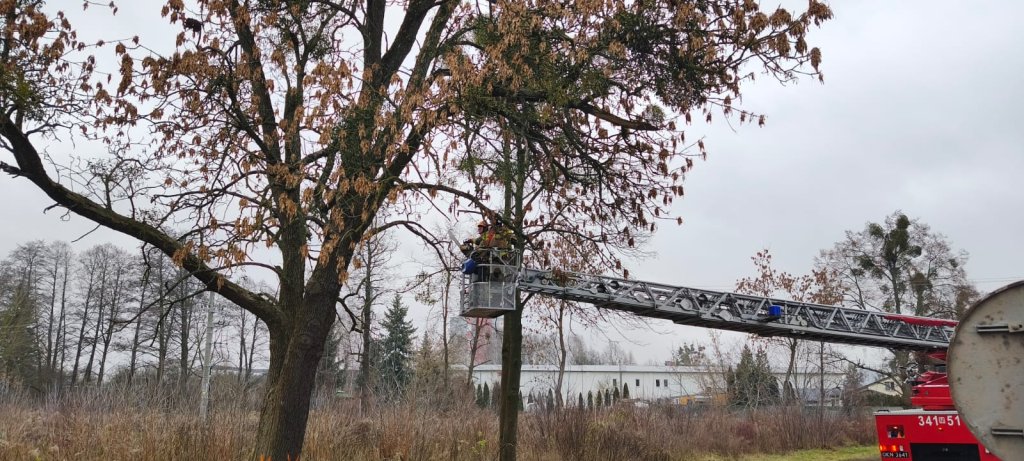 fot. OSP Ostrołęka