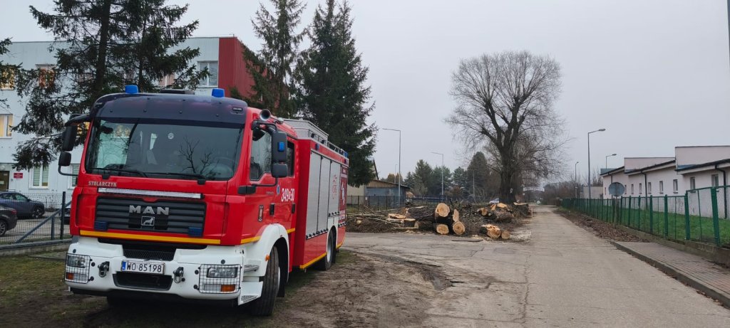 Uszkodzone drzewa w Ostrołęce. Do akcji ruszyli strażacy [ZDJĘCIA]
