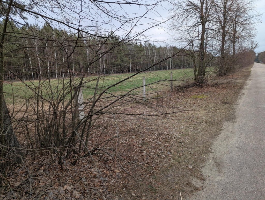 Zabójca zaatakował ją drewnianym kołkiem