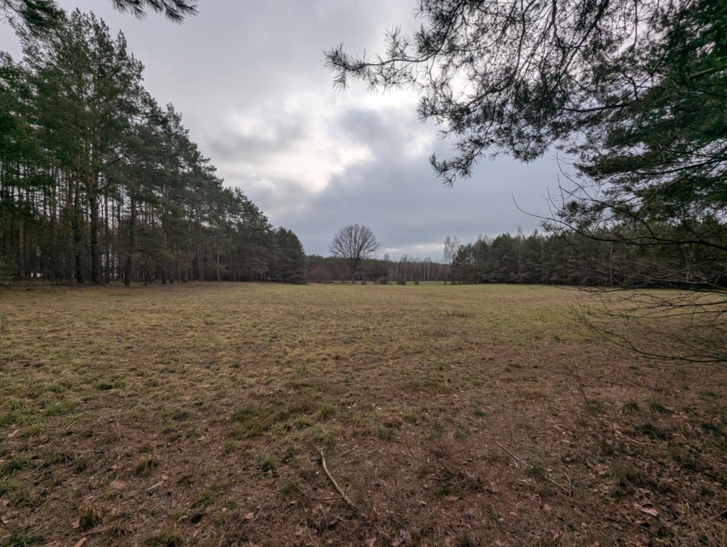 Grzegorz S. dokładnie wybrał to ustronne miejsce