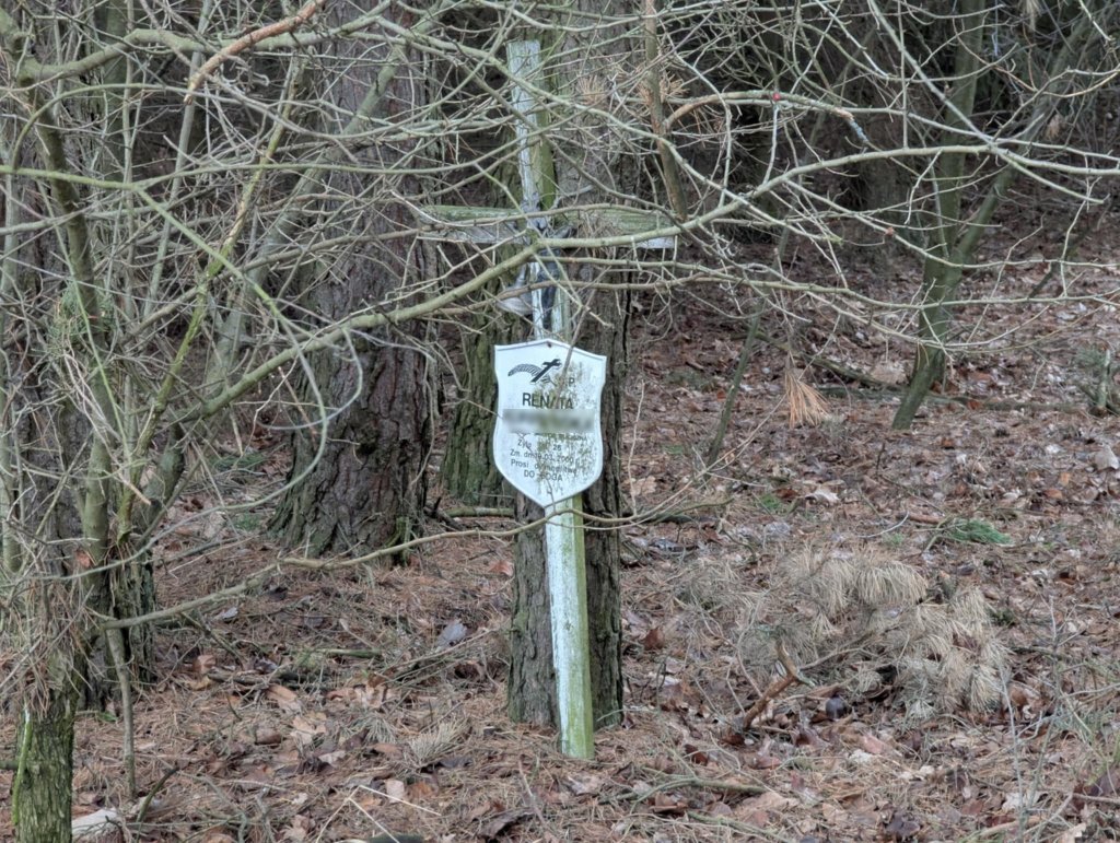 Dziś stoi tu skromny krzyż upamiętniający zamordowaną 26-latkę