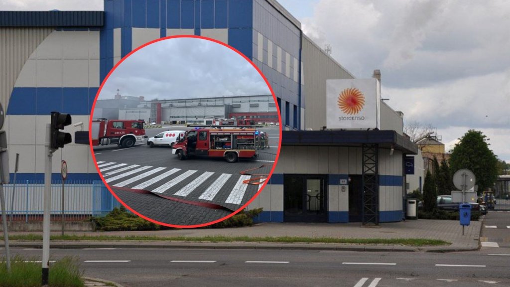 zdjęcie ilustracyjne
