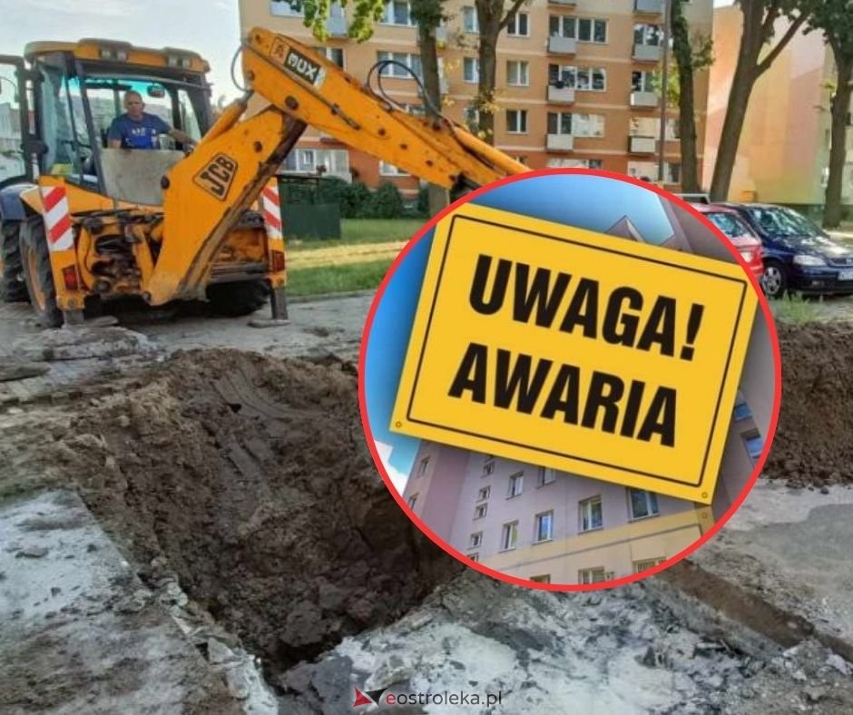 zdjęcie ilustracyjne