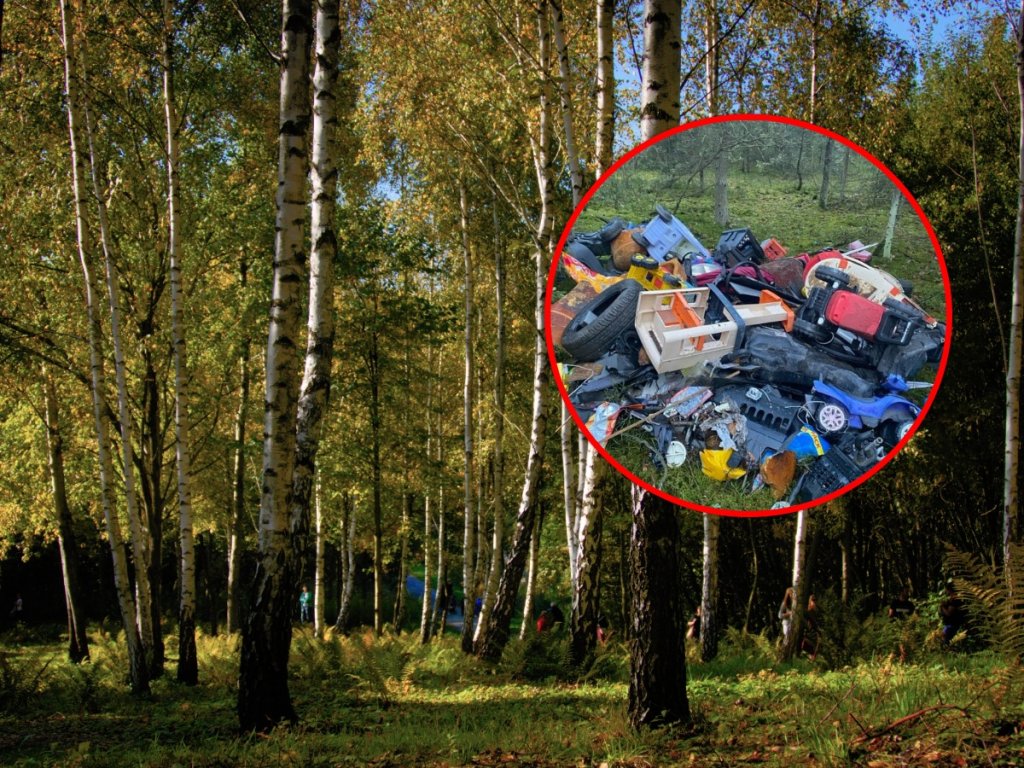 Przykry widok w lesie pod Ostrołęką! "Odwiedziły nas urwisy? Na pewno nie!"