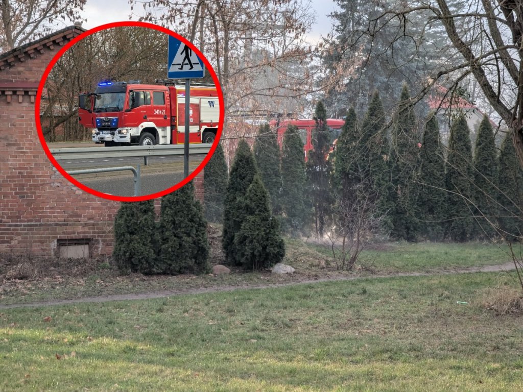 Akcja strażaków na osiedlu Wojciechowice. Co się wydarzyło? [ZDJĘCIA]