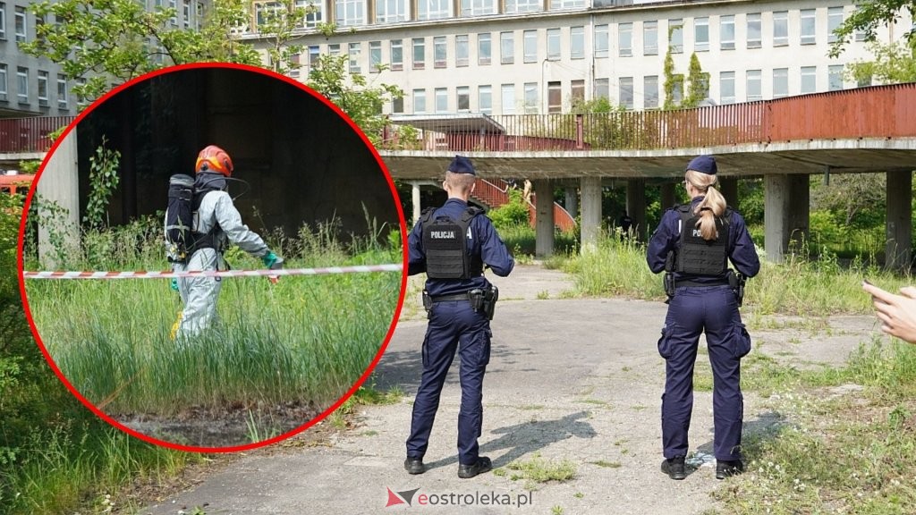 fot. eOstrołęka.pl